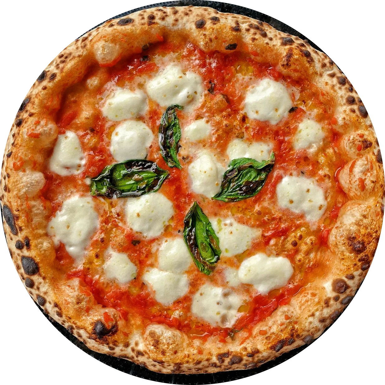 margherita special